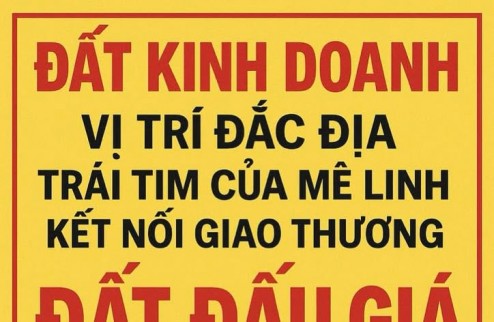Mặt đường kinh doanh đất đấu giá Tam Đồng X3 , Mê Linh, Hà Nội, 2 vỉa hè , 2 mặt đường